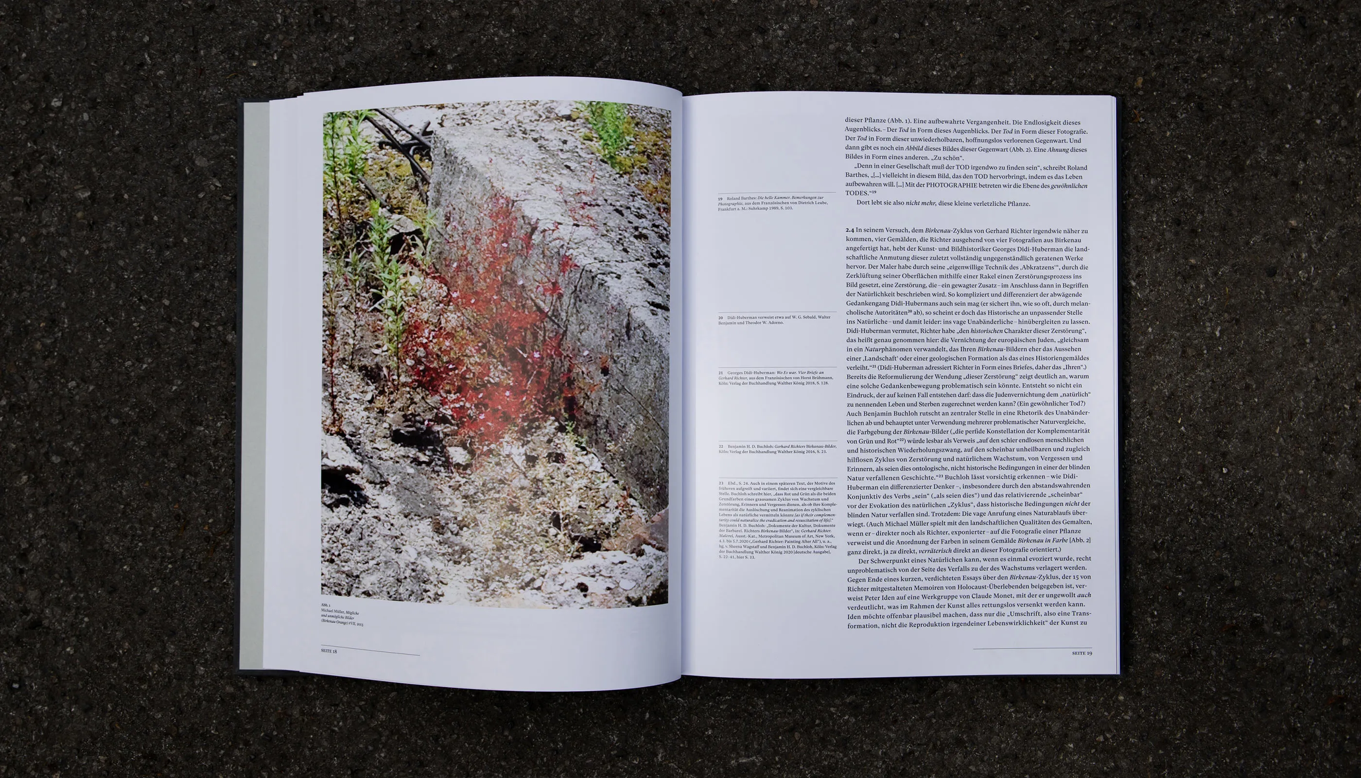 Am Abgrund der Bilder, Art Catalog, Michael Müller, Alien Athena Foundation, De Gruyter, Deutscher Kunstverlag, Städel Museum Frankfurt, editorial design, publication
