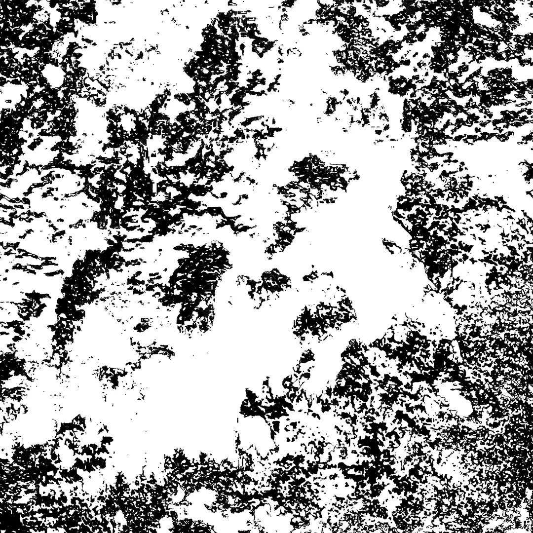 form studies, Formstudie, graphics