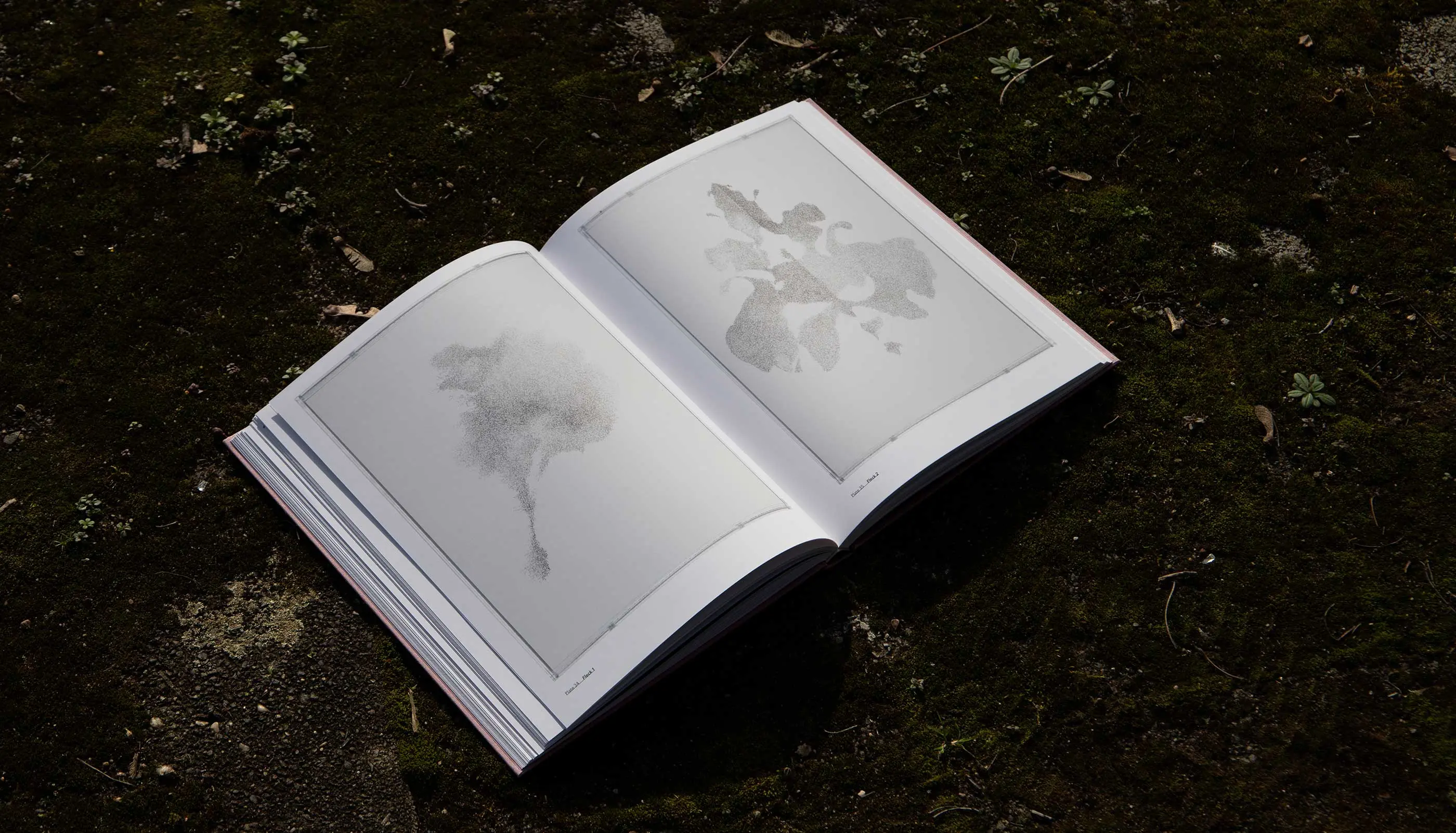 Sechs Monate Amerika, Publication, Foto Book, editorial design